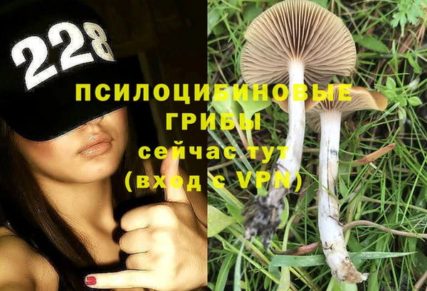 МДПВ Алзамай