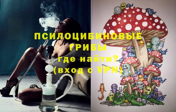 тгк Алексин