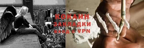 тгк Алексин