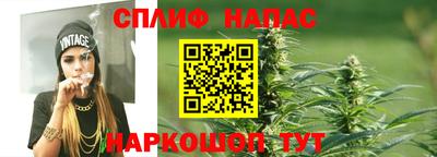 гидра Краснодар