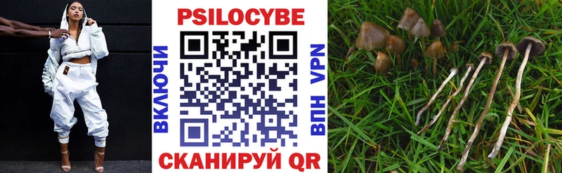 Псилоцибиновые грибы MAGIC MUSHROOMS Кудрово