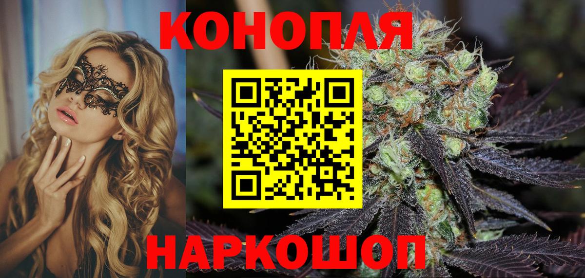 Бошки марихуана Amnesia Кудрово